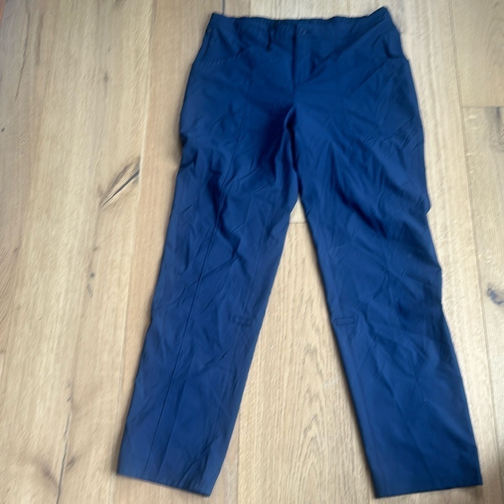 Patagonia navy pants women’s 14